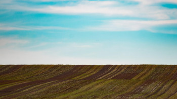 Фотография к новости: Мемлекет меншігі: Астанада сауда орталығын салуға арналған 9 гектар жер қайтарылды
