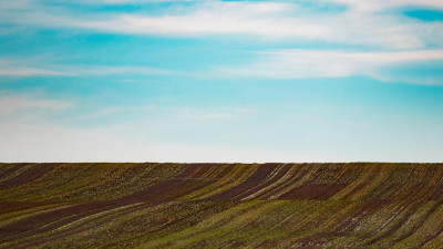 Мемлекет меншігі: Астанада сауда орталығын салуға арналған 9 гектар жер қайтарылды