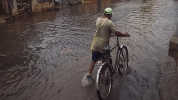Фотография к новости: Мексикада толассыз жауын салдарынан 41 адам қаза тапты