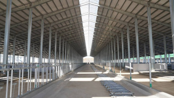 Фотография к новости: СҚО-да 8 мың басқа арналған ірі сүт фермасы салынып жатыр