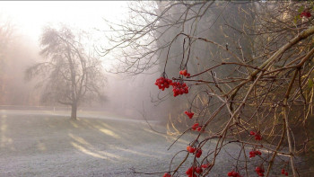 Фотография к новости: Аяз, найзағай, тұман: 15 облыста дауылды ескерту жарияланды