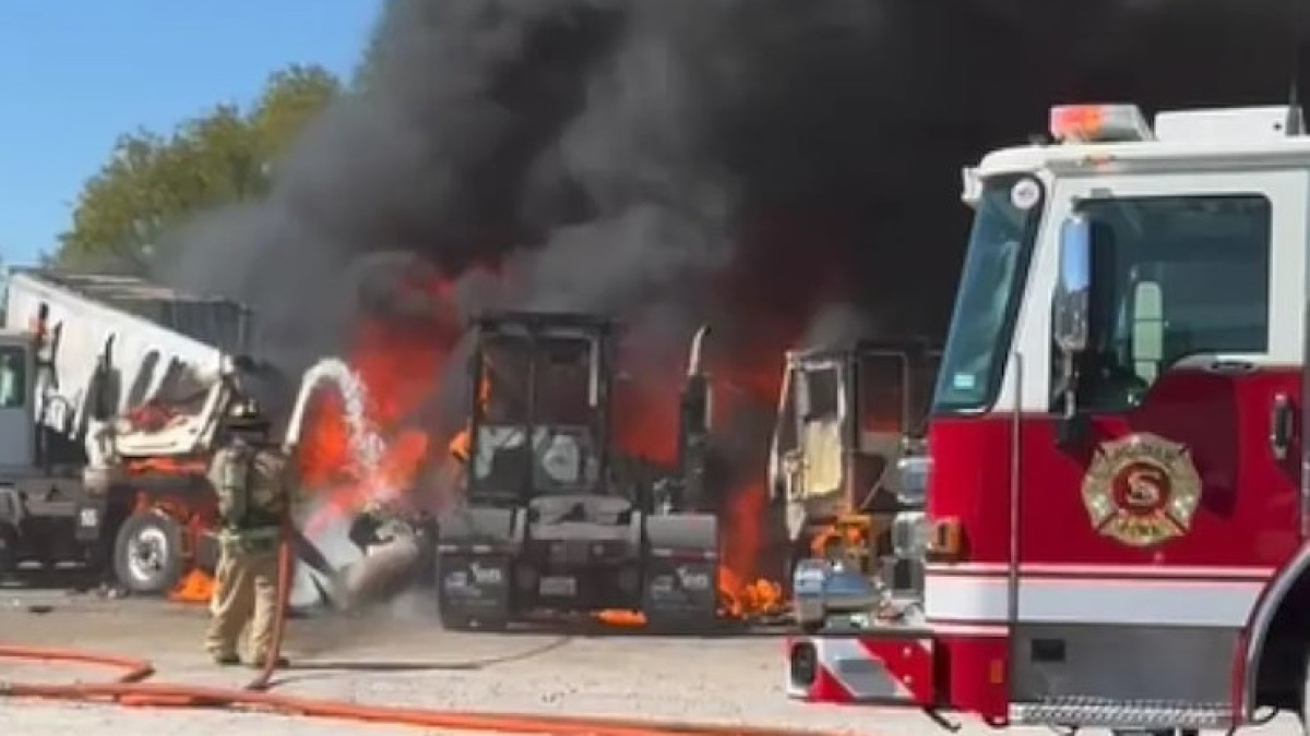  The Dallas Morning News