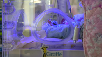 Фотография к новости: Ақтөбе облысында 9-сынып оқушысы босанды: күдікті "әке" қамауға алынды