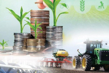 Ауыл шаруашылығы қарқын алды: өнім көлемі 4,4%-ға артты