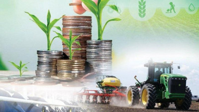 Ауыл шаруашылығы қарқын алды: өнім көлемі 4,4%-ға артты