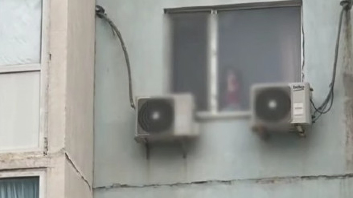  видеодан скриншот