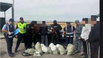 Фотография к новости: Жамбыл облысында полицейлер 66 келі марихуана тасымалдау әрекетін тоқтатты