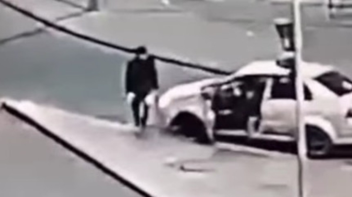  видеодан скриншот