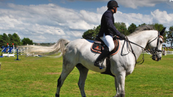 Фотография к новости: Алматы облысында ат спорты бойынша Қазақстан чемпионаты өтеді