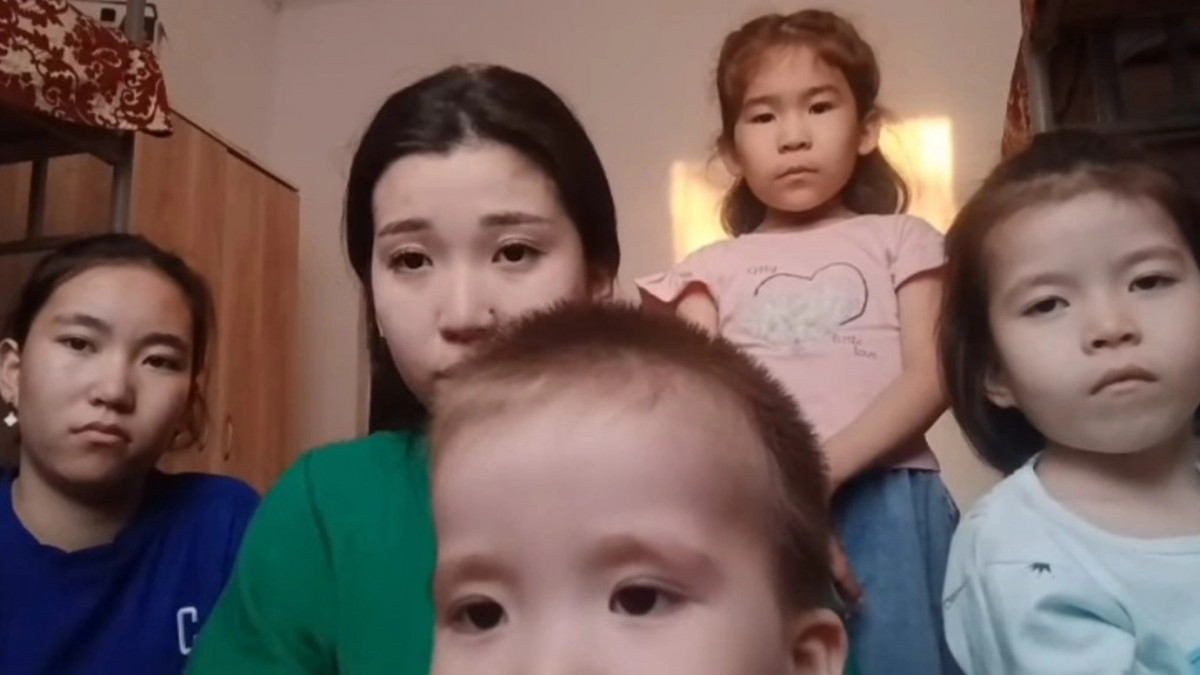  видеодан скриншот