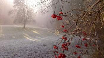Фотография к новости: Тұман, қар және жаңбыр: 16 облыста дауылды ескерту жарияланды