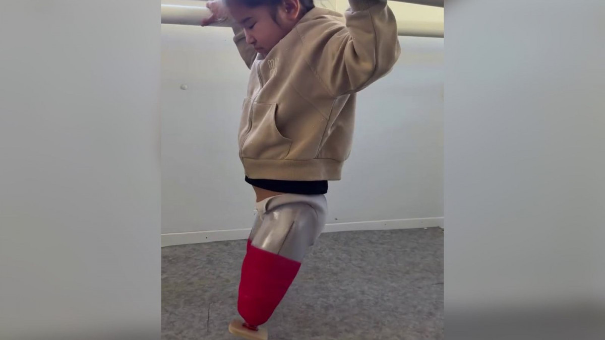  видеодан скриншот