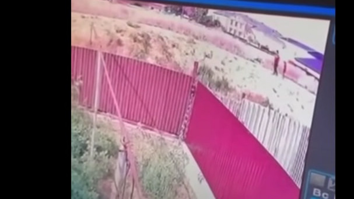  видеодан алынған кадр