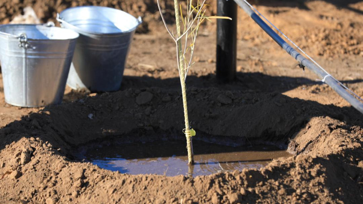  Ақтөбе облысының әкімдігі