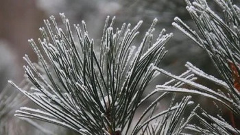 Фотография к новости: Жаңбыр, қар, үсік: 19 қазанға арналған ауа райы болжамы