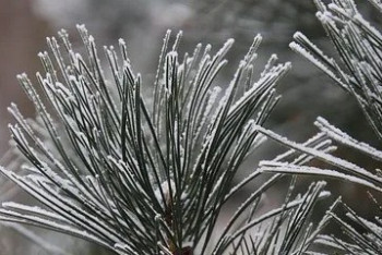 Фотография к новости: Жаңбыр, қар, үсік: 19 қазанға арналған ауа райы болжамы