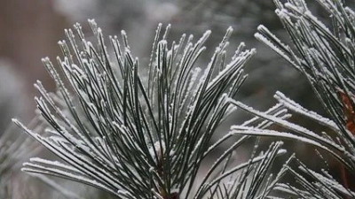 Жаңбыр, қар, үсік: 19 қазанға арналған ауа райы болжамы