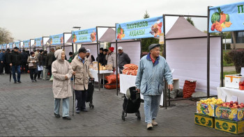 Фотография к новости: Жетісудағы жәрмеңке: 137 тонна жаңа өнім қолжетімді бағамен сатылды