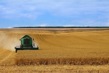 Фотография к новости: Солтүстік Қазақстан облысында рекордтық көлемде астық жиналды
