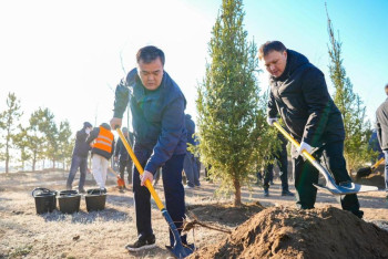 Фотография к новости: Биыл Астанада 1 млн-нан астам жасыл желек отырғызылады