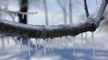 Фотография к новости: Қазақстанның солтүстік өңірлерінде көктайғақ күтіледі