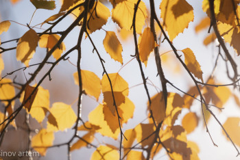 Фотография к новости: Алдағы үш күнде ауа райы қандай болады? – Синоптиктер болжамы