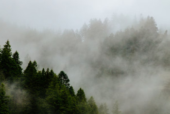 Фотография к новости: Тұман, жаңбыр, аяз: 14 өңірде дауылды ескерту жарияланды