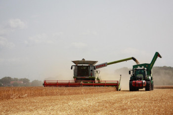 Фотография к новости: Елімізде егін жинау науқаны аяқталуға жақын: 26,3 млн тонна астық бастырылды