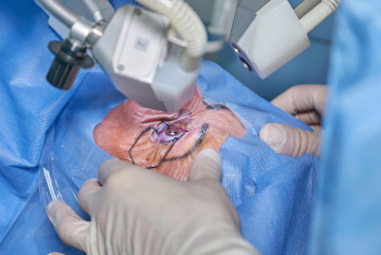 Фотография к новости: Медицинадағы сенсация: Көру қабілетінен айырылғандарға имплант салынып, олар қайта көре бастады