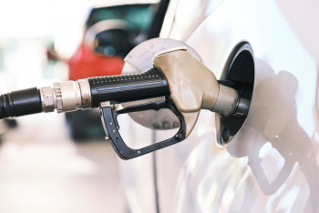 Фотография к новости: Жанармай неге қымбаттады? – Жұманғарин түсіндірді