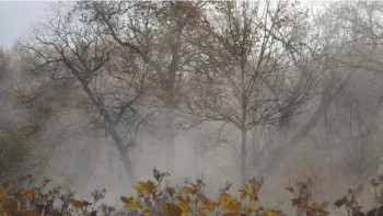 Фотография к новости: Синоптиктер 23 қазанға арналған ауа райы болжамымен бөлісті