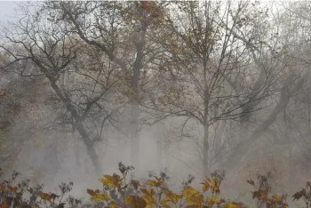 Фотография к новости: Синоптиктер 23 қазанға арналған ауа райы болжамымен бөлісті