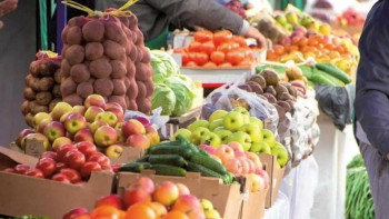 Фотография к новости: Фермерлер жеке табыс салығын 70%-ға дейін азайта алады