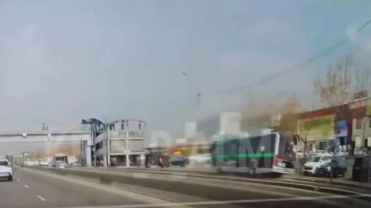  видеодан скриншот