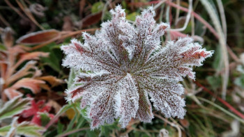 Фотография к новости: Қатты жел мен үсік: 24 қазанда қай өңірлерде дауылды ескерту жарияланды