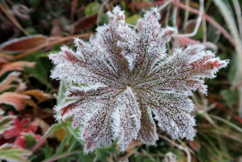 Фотография к новости: Қатты жел мен үсік: 24 қазанда қай өңірлерде дауылды ескерту жарияланды
