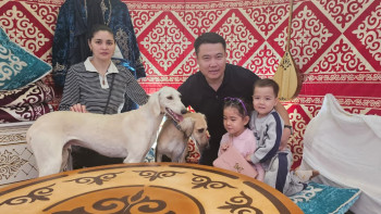 Фотография к новости: Алматыда "Kazakh tazy" монотұқымдық көрмесі өтті