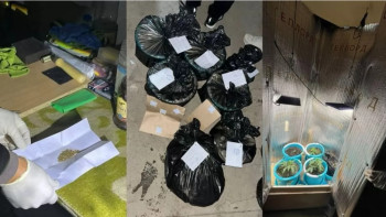 Фотография к новости: Оралда есірткі өсіретін жасырын фитозертхана жойылды