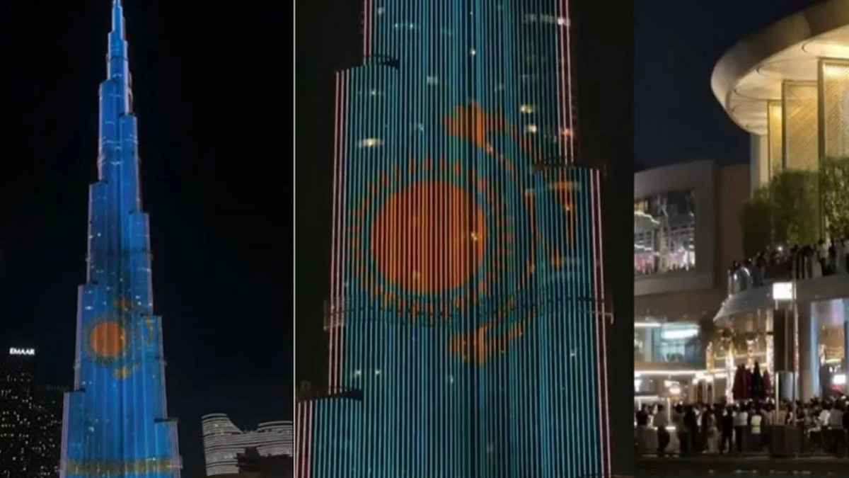  видеодан кадр