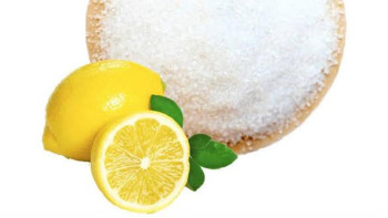 Фотография к новости: Қостанайда глютен мен лимон қышқылын өндіретін кешен салынады