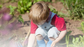 Фотография к новости: Қазақстанда "Жасыл балабақшалар" саны артып келеді