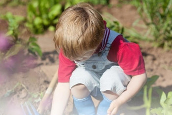 Фотография к новости: Қазақстанда "Жасыл балабақшалар" саны артып келеді