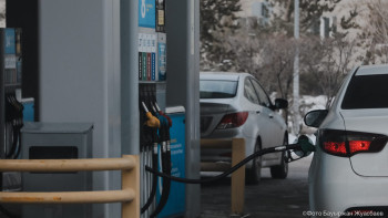 Фотография к новости: "Алға бір, артқа екі қадам": Сарапшы бензин бағасын тежеу шешімін түсіндірді