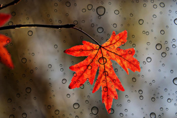 Фотография к новости: Қазанның соңғы күндері Қазақстанда ауа райы қандай болады?