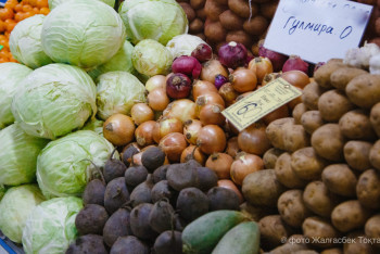 Фотография к новости: Пияз бен картоп арзандай ма? – Қазақстанда рекордтық өнім күтіліп отыр
