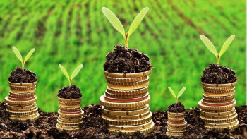 Фотография к новости: АШМ: Қазақстанда субсидиялар бойынша берешек кезең-кезеңмен өтелуде