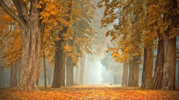 Фотография к новости: Қатты жел, көктайғақ: 14 облыста дауылды ескерту жарияланды