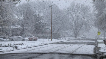 Фотография к новости: Бұрқасын, көктайғақ: 4 қарашаға дабылды ескерту жарияланды