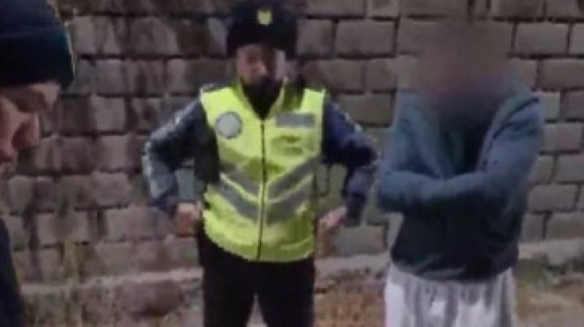  видеодан скриншот