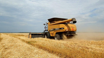 Фотография к новости: Қазақстанда биылғы астықтың 2,2 млн тоннасы экспортталды